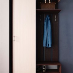 Шкаф-купе одно-дверный Лиман