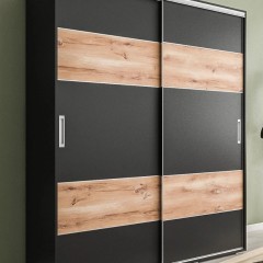 Шкаф-купе матовый Вилсон 2