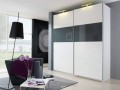 Шкаф-купе матовый Тони