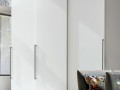 Шкаф-купе матовый Энтони