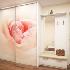 Шкаф-купе розового цвета Филипо