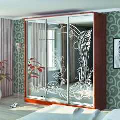 Шкаф-купе пескоструй Дэниз