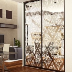 Шкаф-купе пескоструй Минт