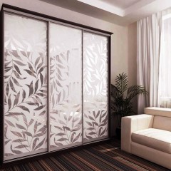 Шкаф-купе пескоструй Ригель