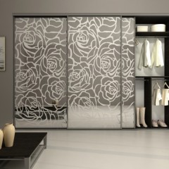 Шкаф-купе пескоструй Фелис