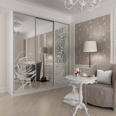 Шкаф-купе пескоструй Батис