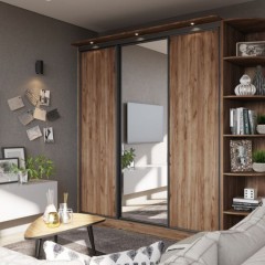 Шкаф-купе фасад ЛДСП Хади