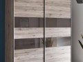 Шкаф-купе фасад ЛДСП Томас