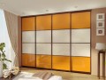Шкаф-купе оракал Джианни