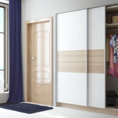 Шкаф-купе без зеркала Мартин