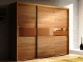 Шкаф-купе без зеркала Терзо