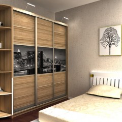 Шкаф-купе без зеркала Эмилио