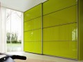 Шкаф-купе без зеркала Лайм