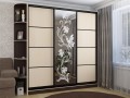 Шкаф-купе трех-дверный Антонио