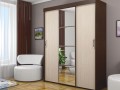 Шкаф-купе трех-дверный Джероним