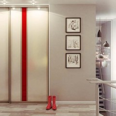 Шкаф-купе с вертикальными вставками Орди