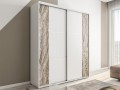 Шкаф-купе с вертикальными вставками Дамион