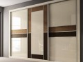 Шкаф-купе с вертикальными вставками Ларри