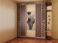 Шкаф-купе с вертикальными вставками Зебра