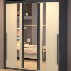 Шкаф-купе с вертикальными вставками Эван