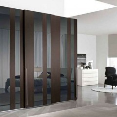 Шкаф-купе с вертикальными вставками Адлай