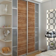 Шкаф-купе с вертикальными вставками Сэм