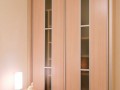 Шкаф-купе с вертикальными вставками Илон