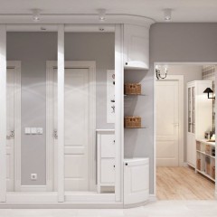 Шкаф-купе в скандинавском стиле Франс