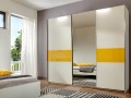 Шкаф-купе в современном стиле Пэкио