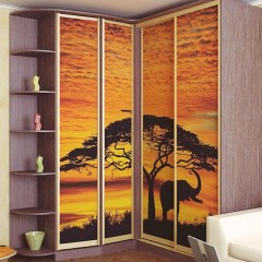 Шкаф-купе оранжевый Афро