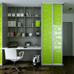 Шкаф-купе Джон салатовый