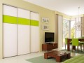 Шкаф-купе Клаус салатовый