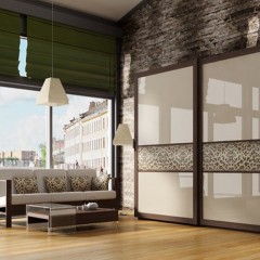 Шкаф-купе дизайнерский Барни