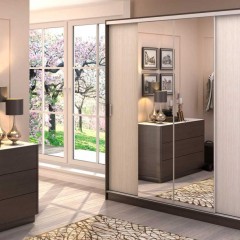 Шкаф-купе венге светлый Валли