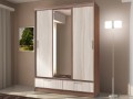 Шкаф-купе в стиле модерн Селсо