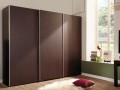 Шкаф-купе в цвете венге темное Базиль