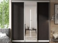 Шкаф-купе в цвете венге темное Коум