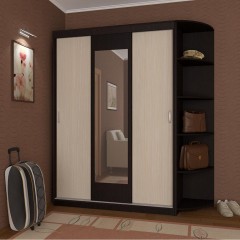 Шкаф-купе в цвете венге темное Коум