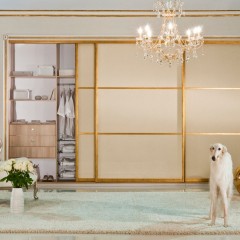 Шкаф-купе золотого цвета Лотер