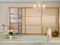 Шкаф-купе золотого цвета Лотер