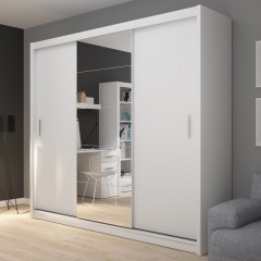 Шкаф-купе светлый Рин