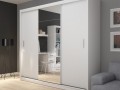 Шкаф-купе светлый Рин
