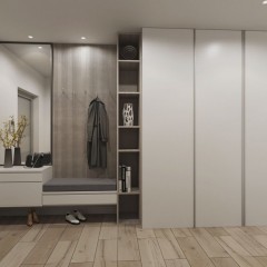 Шкаф-купе до потолка Амадиу