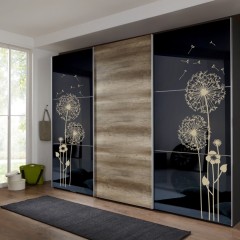 Шкаф-купе темный Клоу