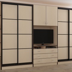 Шкаф-купе для гостинной Джон