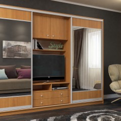 Шкаф-купе для гостинной Хейл