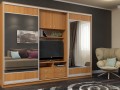 Шкаф-купе для гостинной Хейл