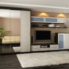 Шкаф-купе для гостинной Холт