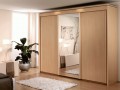 Шкаф-купе в спальню Алекс