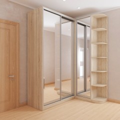 Шкаф-купе в коридор Робин